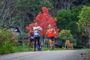 BIB: 
                            <button type="button" onclick="openModal(19238960)" class="btn btn-primary btn-sm float-right btn-popup" data-toggle="modal" data-target=".modal-high-quality">
                        <i class="fas fa-shopping-cart"></i> Add to Cart
                    </button>
                                            <button type="button" onclick="isThisMe(19238960, true)" class="btn btn-success btn-sm float-right btn-popup btn-isme hidden" data-toggle="tooltip" data-placement="bottom" title="นี่คือรูปของคุณใช่ไหม คลิกที่นี่เพื่อเอาเข้าอัลบั้ม">
                        <i class="fas fa-plus"></i> Add to album
                    </button>
                    <button type="button" onclick="isThisMe(19238960, false)" class="btn btn-warning btn-sm float-right btn-popup btn-isnotme hidden">
                        <i class="fas fa-ban"></i> Remove from album
                    </button>